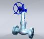 pressure sealed globe valve